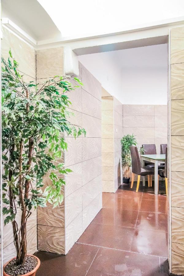 Superior Double Lv B Homestay Vienna